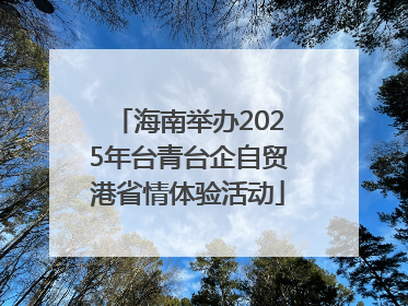 海南举办2025年台青台企自贸港省情体验活动