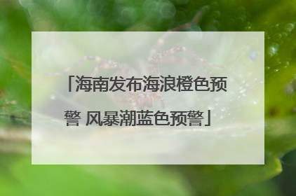 海南发布海浪橙色预警 风暴潮蓝色预警
