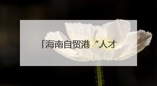 海南自贸港“人才引擎”如何加速？这场交流活动有干货