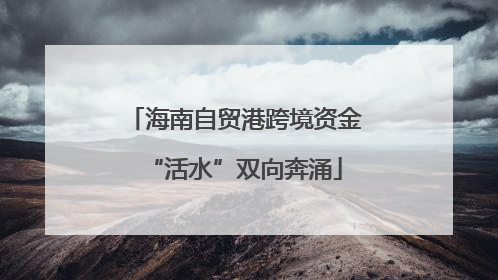 海南自贸港跨境资金“活水”双向奔涌