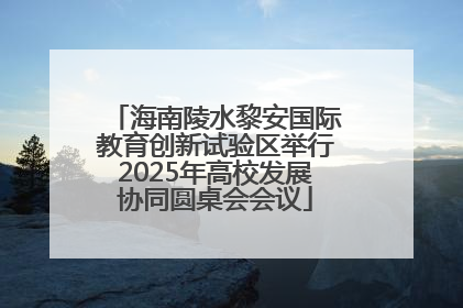 海南陵水黎安国际教育创新试验区举行2025年高校发展协同圆桌会会议