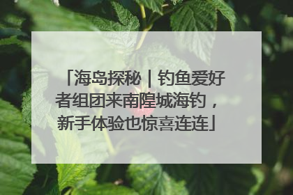 海岛探秘｜钓鱼爱好者组团来南隍城海钓，新手体验也惊喜连连