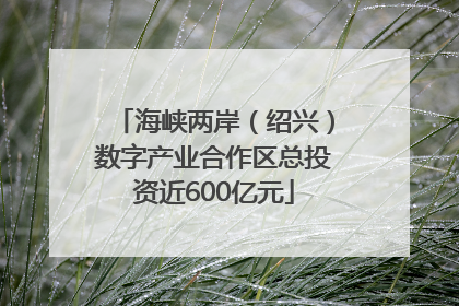 海峡两岸（绍兴）数字产业合作区总投资近600亿元