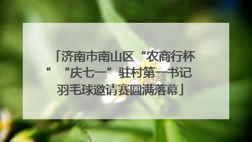 济南市南山区“农商行杯”“庆七一”驻村第一书记 羽毛球邀请赛圆满落幕