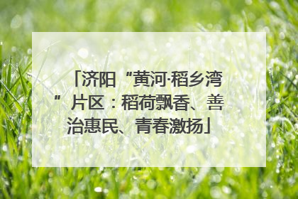 济阳“黄河·稻乡湾”片区：稻荷飘香、善治惠民、青春激扬