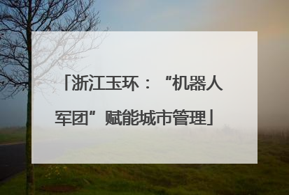 浙江玉环：“机器人军团”赋能城市管理