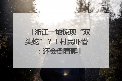 浙江一地惊现“双头蛇”？！村民吓懵：还会倒着爬