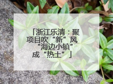 浙江乐清：聚项目吹“新”风 “海边小镇”成“热土”