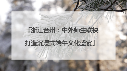 浙江台州：中外师生联袂打造沉浸式端午文化盛宴