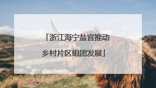 浙江海宁盐官推动乡村片区组团发展