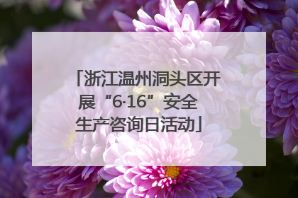 浙江温州洞头区开展“6·16”安全生产咨询日活动