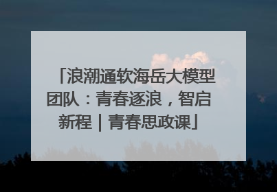 浪潮通软海岳大模型团队：青春逐浪，智启新程｜青春思政课