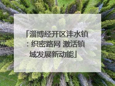 淄博经开区沣水镇：织密路网 激活镇域发展新动能