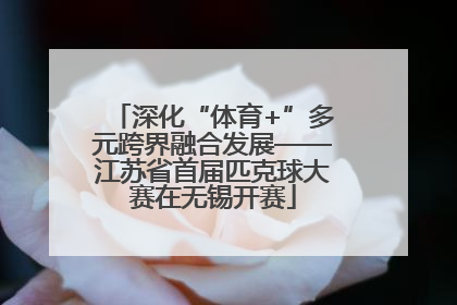 深化“体育+”多元跨界融合发展——江苏省首届匹克球大赛在无锡开赛