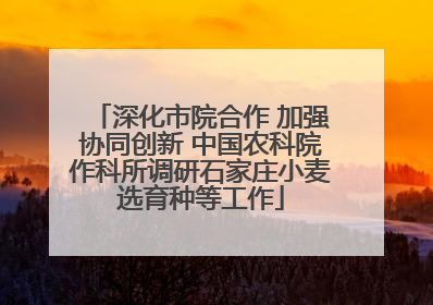 深化市院合作 加强协同创新 中国农科院作科所调研石家庄小麦选育种等工作
