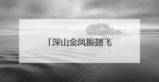 深山金凤振翅飞，钱大妈推动宁都黄鸡产业崛起