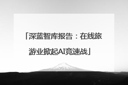 深蓝智库报告：在线旅游业掀起AI竞速战