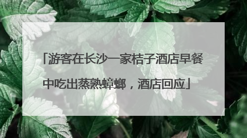 游客在长沙一家桔子酒店早餐中吃出蒸熟蟑螂，酒店回应