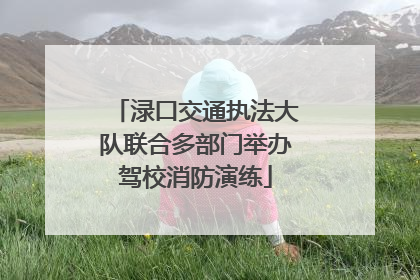 渌口交通执法大队联合多部门举办驾校消防演练