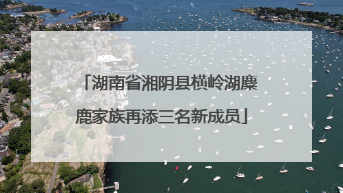 湖南省湘阴县横岭湖麋鹿家族再添三名新成员
