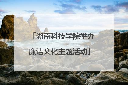湖南科技学院举办廉洁文化主题活动