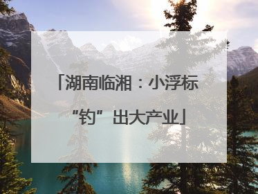 湖南临湘：小浮标“钓”出大产业