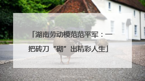 湖南劳动模范范平军：一把砖刀“砌”出精彩人生