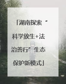 湖南探索“科学放生+法治善行”生态保护新模式