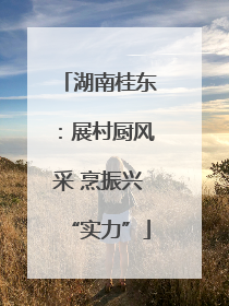 湖南桂东：展村厨风采 烹振兴“实力”