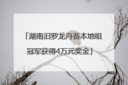 湖南汨罗龙舟赛本地组冠军获得4万元奖金