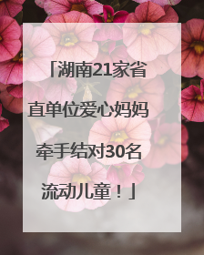 湖南21家省直单位爱心妈妈牵手结对30名流动儿童！