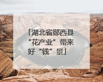 湖北省郧西县“花产业”带来好“钱”景