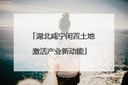 湖北咸宁闲置土地激活产业新动能