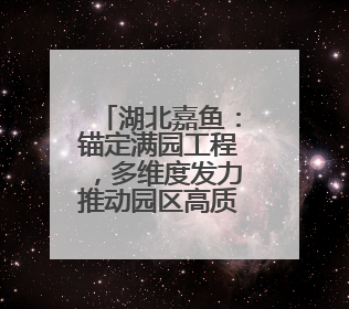 湖北嘉鱼：锚定满园工程，多维度发力推动园区高质量发展