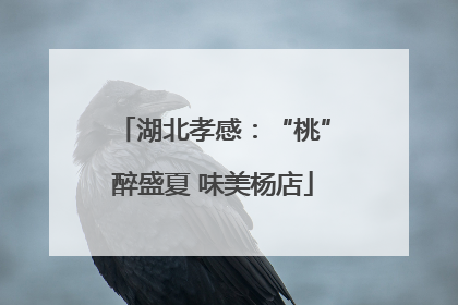 湖北孝感：“桃”醉盛夏 味美杨店