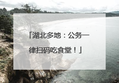 湖北多地：公务一律扫码吃食堂！