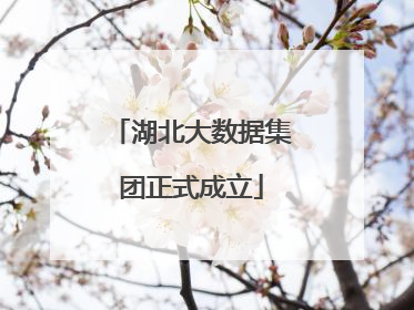 湖北大数据集团正式成立