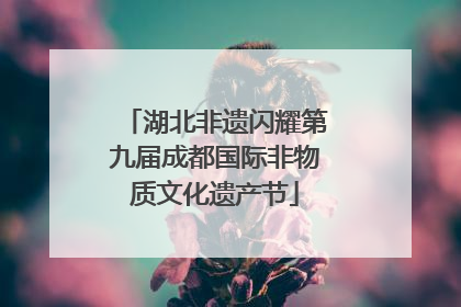 湖北非遗闪耀第九届成都国际非物质文化遗产节