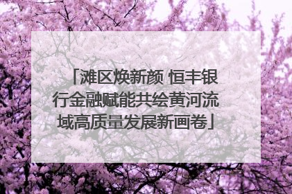 滩区焕新颜 恒丰银行金融赋能共绘黄河流域高质量发展新画卷