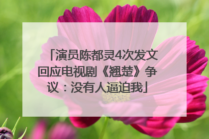 演员陈都灵4次发文回应电视剧《翘楚》争议：没有人逼迫我