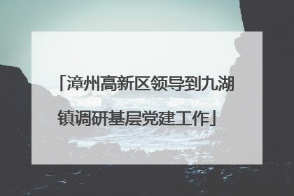 漳州高新区领导到九湖镇调研基层党建工作