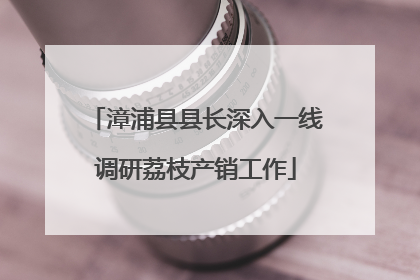 漳浦县县长深入一线调研荔枝产销工作