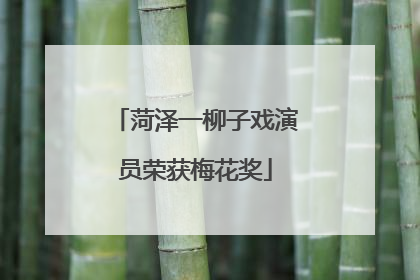 菏泽一柳子戏演员荣获梅花奖