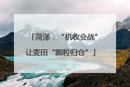 菏泽：“机收会战”让麦田“颗粒归仓”
