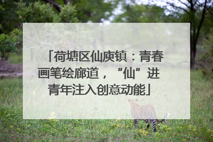 荷塘区仙庾镇：青春画笔绘廊道，“仙”进青年注入创意动能