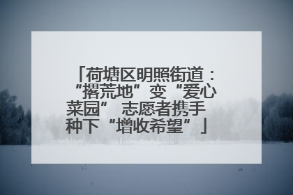 荷塘区明照街道：“撂荒地”变“爱心菜园” 志愿者携手种下“增收希望”