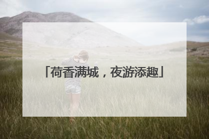 荷香满城，夜游添趣