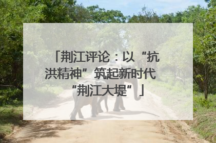 荆江评论：以“抗洪精神”筑起新时代“荆江大堤”