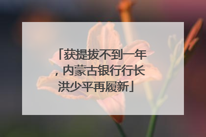 获提拔不到一年，内蒙古银行行长洪少平再履新