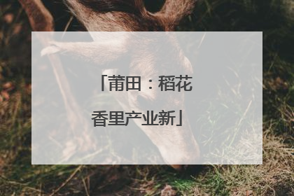 莆田：稻花香里产业新